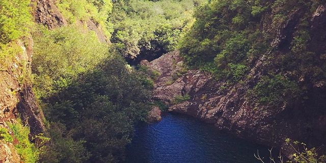 Hiking trip tamarind falls half day (11)